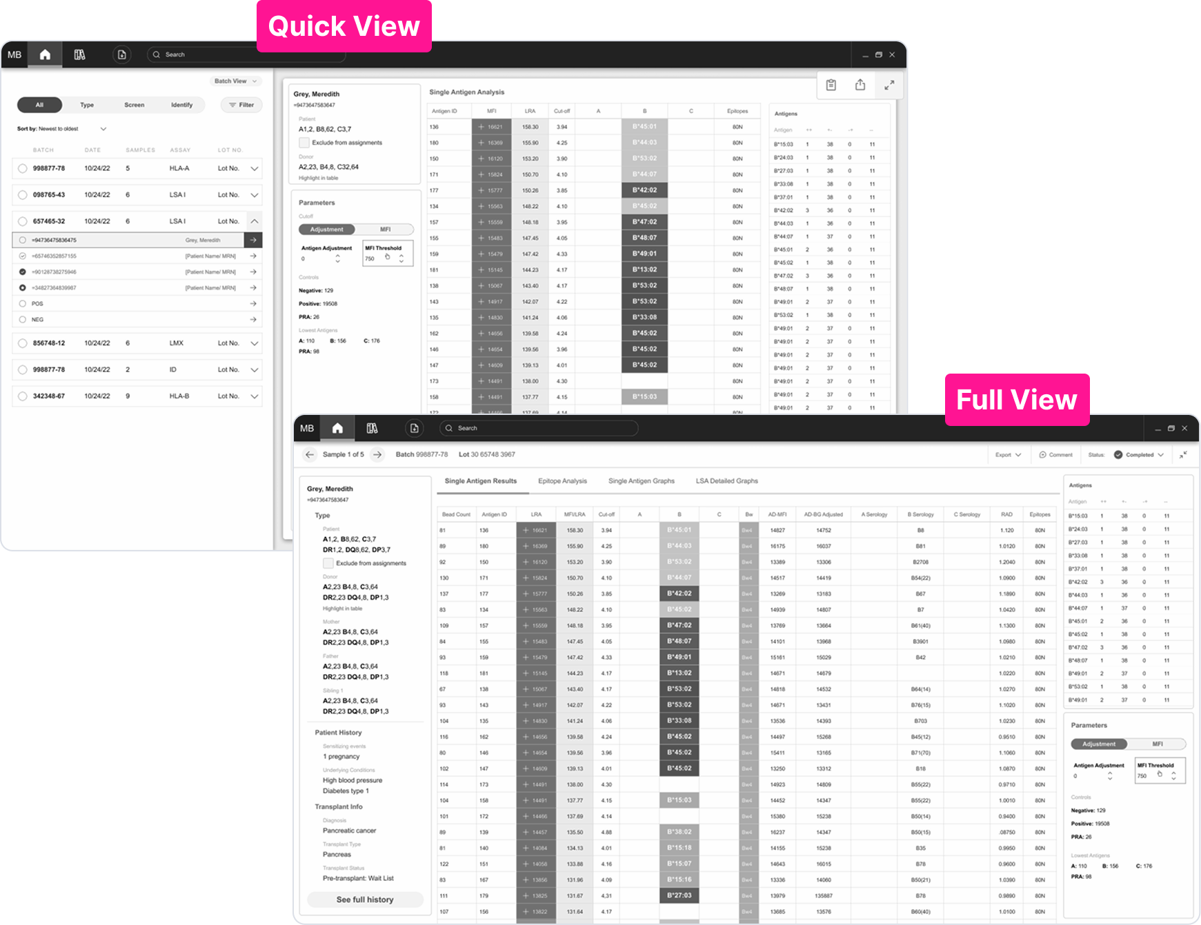 Quick View vs Full View — navigation modes